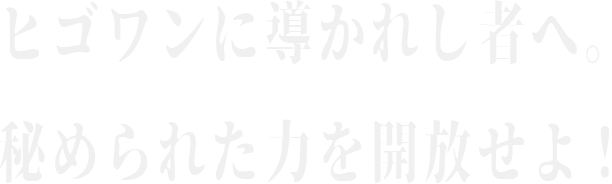 Webコンサルティング プロモーション代行の株式会社ヒゴワン